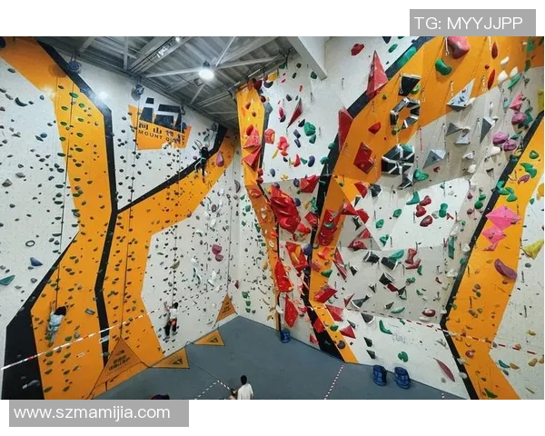 杭州攀岩队灵活性分析与提升策略探讨攀岩运动的未来发展方向